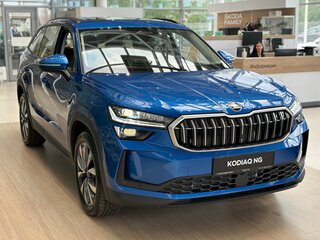 2025 Skoda Kodiaq II, синий, 6190000 рублей, вид 5