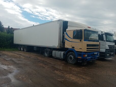 1996 DAF 95, жёлтый, 910000 рублей, вид 1
