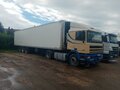 1996 DAF 95, жёлтый, 910000 рублей