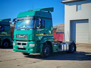 2018 КамАЗ 5490, зелёный, 1590000 рублей, вид 4