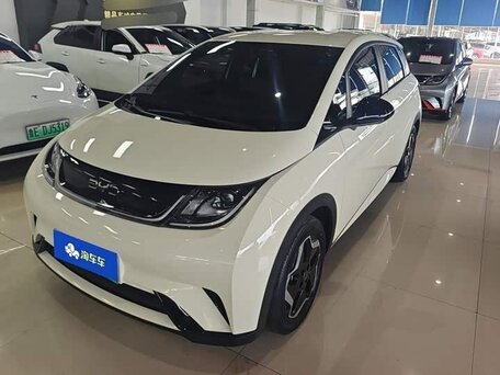 BYD Dolphin I