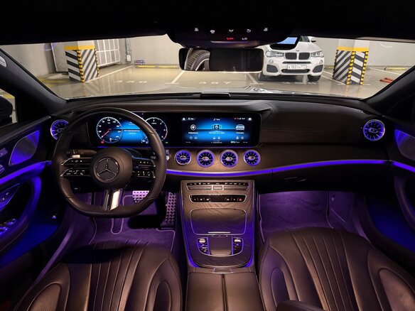 2022 Mercedes-Benz CLS 300 d III (C257) Рестайлинг, серый, 6500000 рублей - вид 15