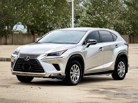 2020 Lexus NX 200 I Рестайлинг, серый, 2550000 рублей, вид 1