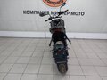 2024 Triumph Trident 660, чёрный, 949000 рублей - вид 3