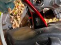2024 Kayo TT160, белый, 60000 рублей - вид 4