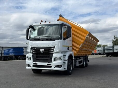 2026 КамАЗ 65657, белый, 11025000 рублей, вид 5