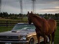 1966 Ford Mustang I, золотистый, 12500000 рублей - вид 8