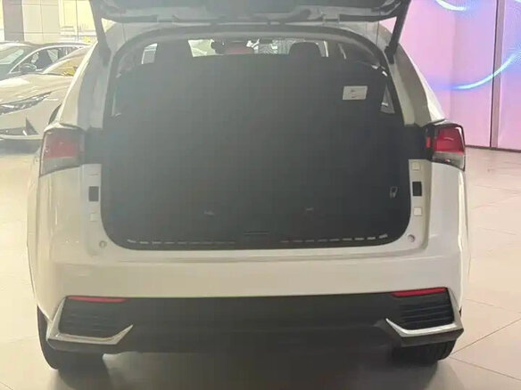 2021 Lexus NX 200 I Рестайлинг, белый, 2810000 рублей - вид 7