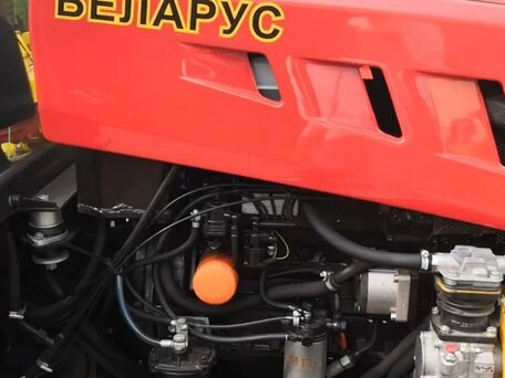 2021 МТЗ (BELARUS) 320, красный, 850000 рублей, вид 3