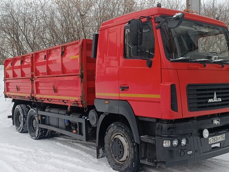 2020 МАЗ 6501, красный, 2850000 рублей, вид 2