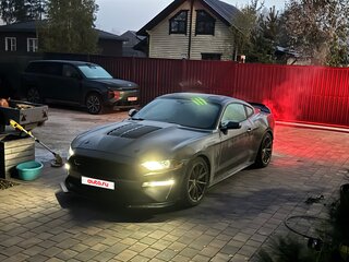 2019 Ford Mustang VI Рестайлинг, серый, 3600000 рублей, вид 1