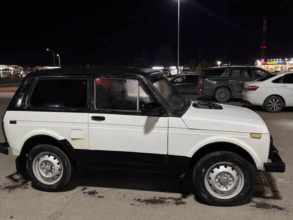 1996 Lada (ВАЗ) 2121 (4x4) I Рестайлинг, серый, 300000 рублей - вид 4