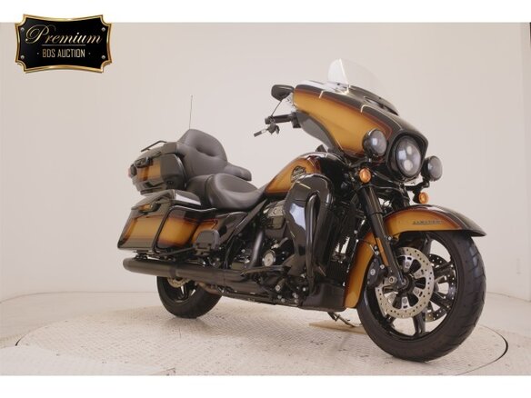 2024 Harley-Davidson Ultra Limited, коричневый - вид 2