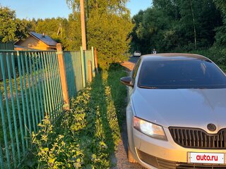 2016 Skoda Octavia III (A7), серебристый, 800000 рублей, вид 2
