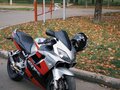 2003 Honda CBR 600F, серебристый, 430000 рублей - вид 9