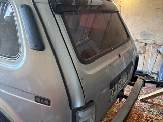 2006 Lada (ВАЗ) 2131 (4x4) I, серебристый, 255000 рублей, вид 4