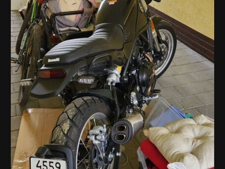 2024 Benelli Leoncino 500, чёрный, 635000 рублей, вид 3
