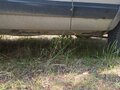 2004 Chevrolet Niva I, серебристый, 260000 рублей - вид 5
