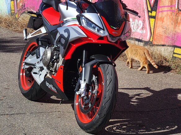 2023 Aprilia Tuono 660, серый, 799000 рублей