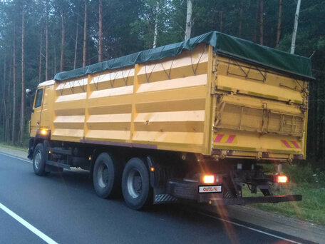 2013 МАЗ 6501, золотистый, 3292704 рублей, вид 4