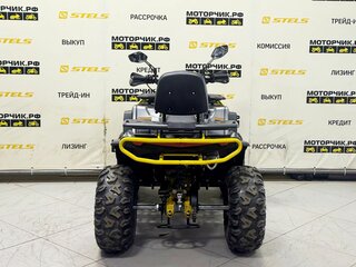 2026 Bison ATV 250F, серый, 239900 рублей, вид 4