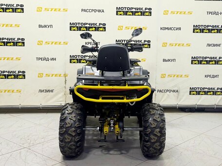 2026 Bison ATV 250F, серый, 239900 рублей, вид 4