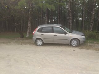 2009 Lada (ВАЗ) Kalina I, бежевый, 310000 рублей, вид 4