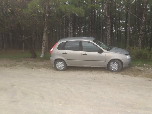 2009 Lada (ВАЗ) Kalina I, бежевый, 310000 рублей - вид 3