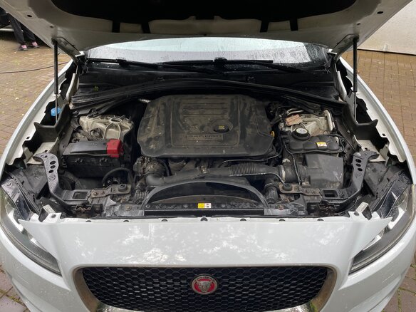 2016 Jaguar F-Pace I, белый - вид 12