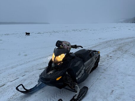 2009 BRP Ski-Doo MXZ Renegade X 800, чёрный, 550000 рублей, вид 2