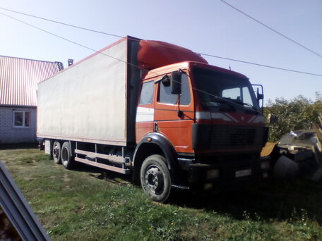 1993 Mercedes-Benz 2435, красный, 650000 рублей, вид 1