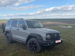 2024 Tank 300 I, серый, 3770000 рублей, вид 5
