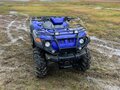 2013 Русская Механика (RM) Gamax AX600, синий, 330000 рублей - вид 2