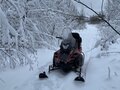 2022 Irbis Tungus, красный, 360000 рублей