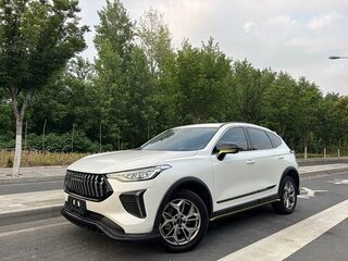 2022 Haval Chitu, белый, 1110000 рублей, вид 1