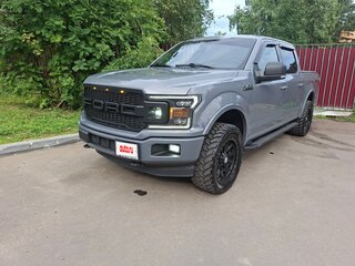 2019 Ford F-150 XIII Рестайлинг, серый, 3800000 рублей, вид 1