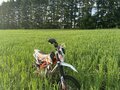 2023 Kayo Basic TT125EM, оранжевый, 74000 рублей