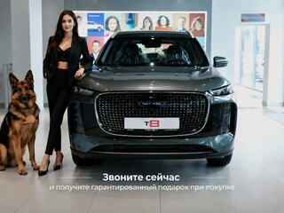 2026 Tenet T8, серый, 3299000 рублей, вид 1