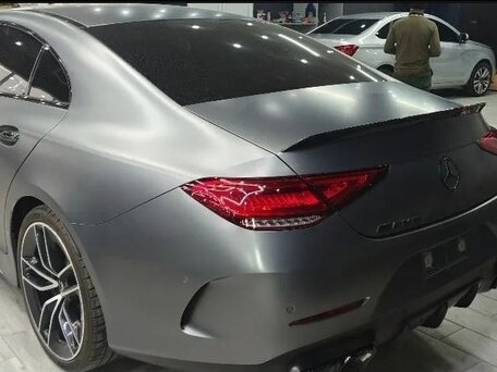 2019 Mercedes-Benz CLS AMG 53 AMG III (C257), серый, 6600000 рублей, вид 5
