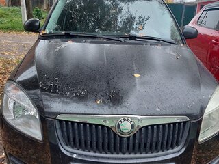 2008 Skoda Fabia II, чёрный, 220000 рублей, вид 1