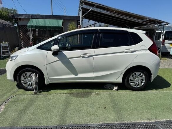 2013 Honda Fit III, белый, 680000 рублей - вид 5