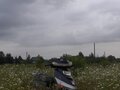 2011 Honling Cruiser, чёрный, 35000 рублей - вид 2