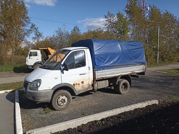 2003 ГАЗ ГАЗель (3302), белый, 249500 рублей - вид 2