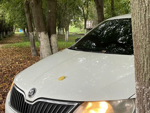 2016 Skoda Rapid I, белый, 595000 рублей - вид 8