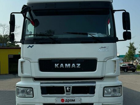 2018 КамАЗ 5490 NEO, белый, 3900000 рублей, вид 5