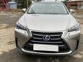2015 Lexus NX 300h I, серый