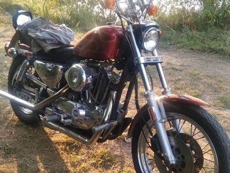 1982 Harley-Davidson Sportster 1000, пурпурный, 800000 рублей, вид 3
