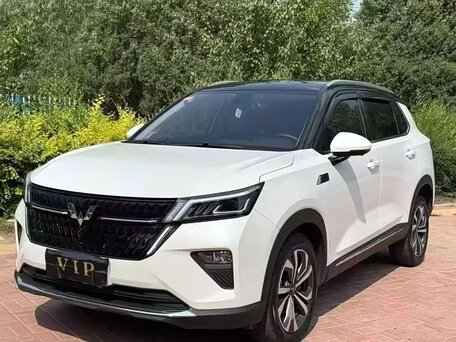 Wuling Star Asta