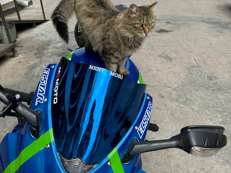 2008 Suzuki GSX-R 1000, синий, 1000000 рублей, вид 4