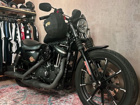2019 Harley-Davidson Sportster 883, чёрный, 883000 рублей, вид 2